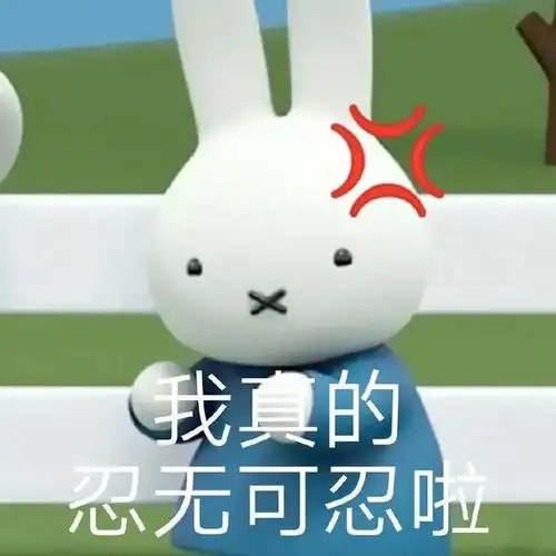 表情包我真的忍无可忍啦