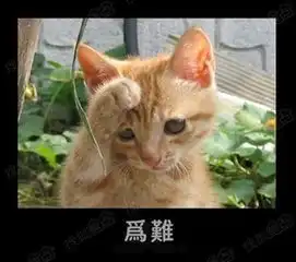 女友一皱眉,我特么就倒霉