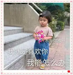 女生专属表情包你是个什么玩意,我就是喜欢你,我能怎么办