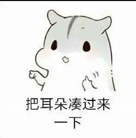 仓鼠表情包我是最棒哒