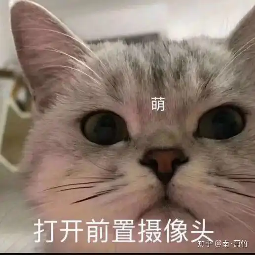 如果你是大奸臣的女儿,会怎么样