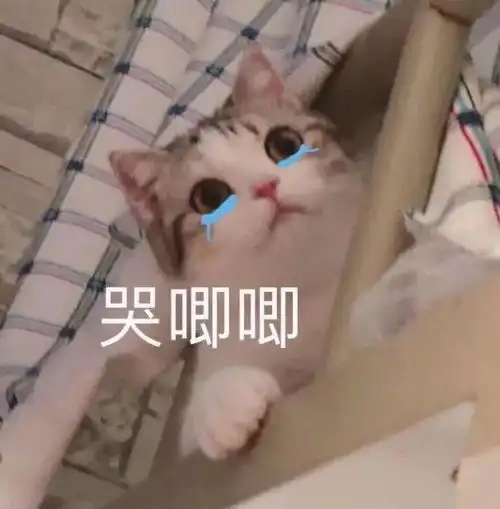 沙雕表情莫说了直接开舔就完事了