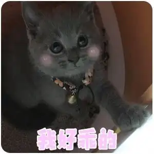 我好乖的大小煤球的日常表情