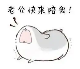 小仓鼠表情包