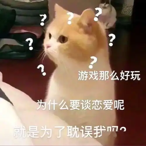 你的小可爱来啦