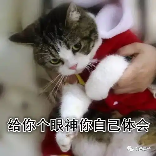 新年快乐春节专属表情包拿走不谢