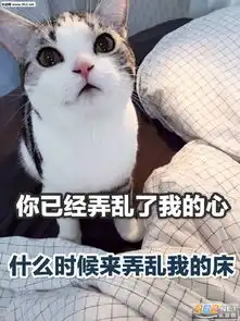小熊猫扯了扯耳朵表情包打住打住表情包图片下载乐游网游戏下载