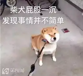 冲壳子丨真羡慕有对象的,我除了帅一无所有