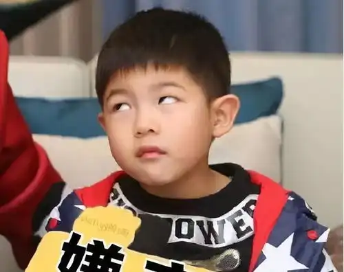 沙溢儿子安吉,做出了二胎家庭的好示范,沙溢和胡可育儿太成功了
