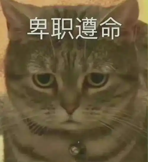 情侣聊天必用表情包九