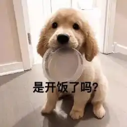 你们快斗图,不然我就失业了