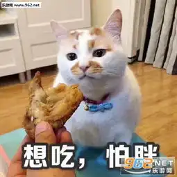 想吃怕胖表情包撸猫看戏表情包下载乐游网游戏下载