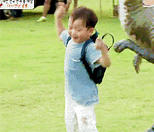 宋民国动态表情包