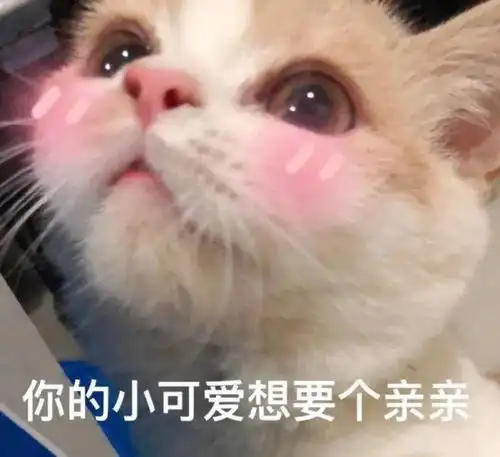 热门沙雕表情包