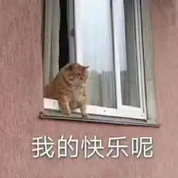 猫咪表情包合集小小的眼睛,大大的疑惑