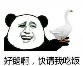 干啥都困熊猫头微信表情包合集金馆长表情包