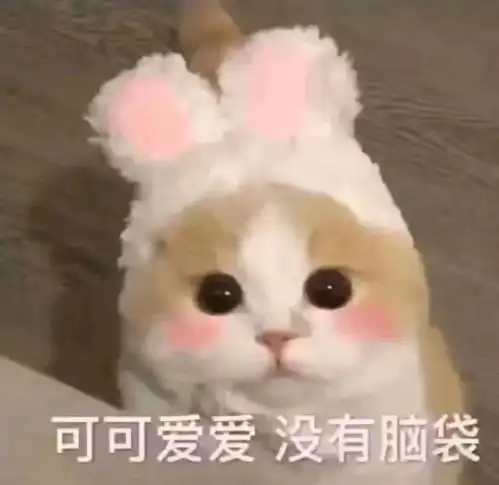 colourpoplushlife系列热带雨林的生机勃勃与斑斓色彩