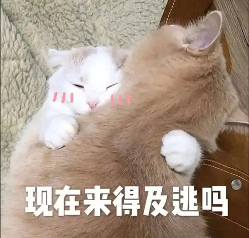 沙雕表情包洗好澡等老公