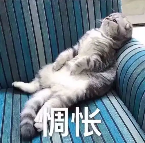 宝坻雨停了不过是中场休息未来半个月都是雨雨雨雨雨雨