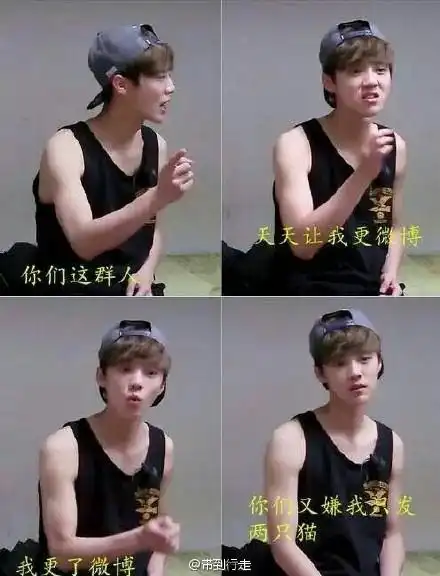 鹿晗笑抽表情包