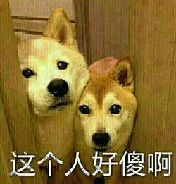 新舌尖上的勒夫肉体的馈赠排泄物的灵感