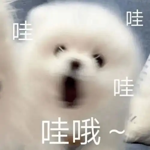 社团游园会拯救你的不开心