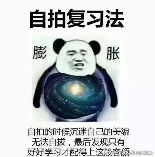 和2019一起到来的还有......
