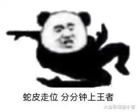王者荣耀钻石局单人守水晶最强的英雄,实力决定一切,第一名无可阻挡