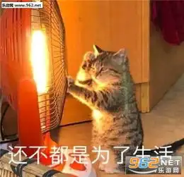 还不都是为了生活表情包图片朋友你到底有多挑剔我56什么梗表情包下载乐游网游戏下载