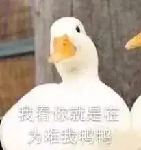 在西财有哪些用尽全力也不可能完成的事