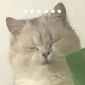 憨喵表情包完了芭比q了