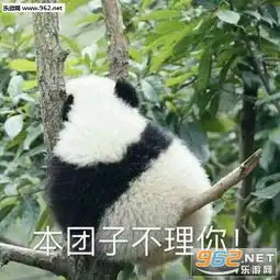 我不听我不听小灰灰熊猫成实表情包图片气到哭泣熊猫表情包图片下载乐游网游戏下载