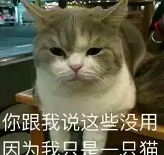大学养不养宠物