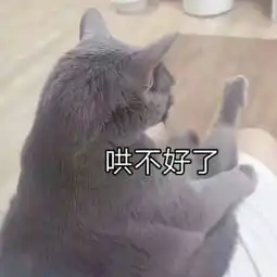 表情包老公,总之哄不好了委屈生气猫猫表情,贼可爱