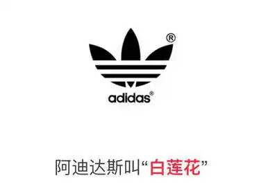 我只想要快乐doge表情包doge快乐想要表情