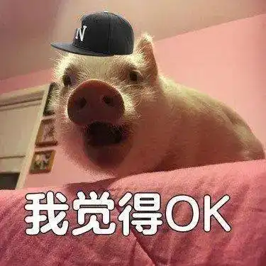 狮赛志愿者招募,五一小长假期待与您相约