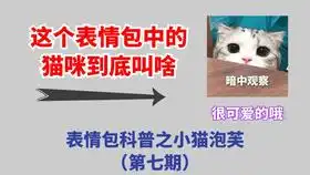 泡芙可是治疗失眠大师哦我可爱的芙啊