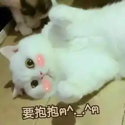 搜狐