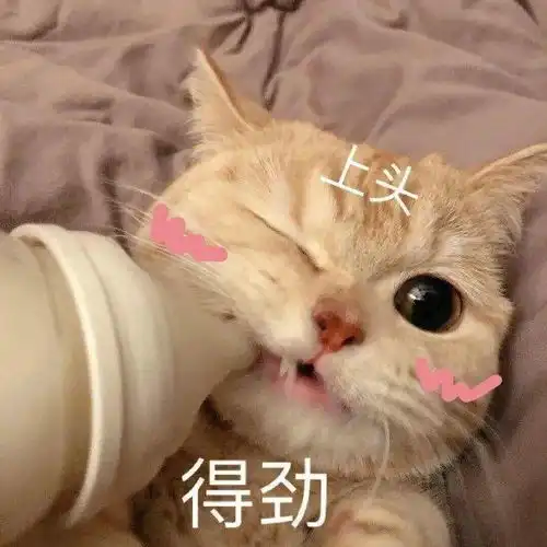 沙雕表情包