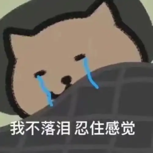 周杰伦式猫猫表情包已到账点个赞支持一下