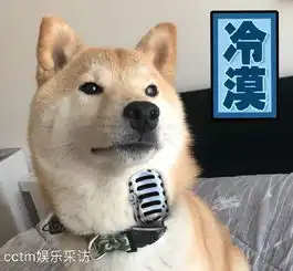 表情包一只叫做芋圆的魔性柴犬