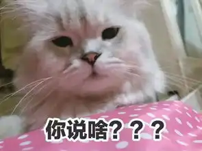 猫猫表情包大赛万万没想到最后获奖的居然是它