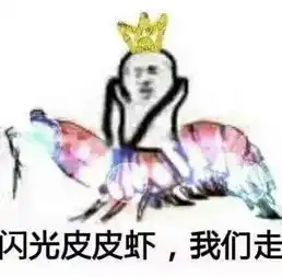 皮皮虾我们回去表情包