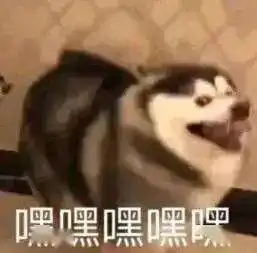 正式入夏接下来黄石的天气