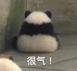 玄不救非,氪不改命一招就脱非入欧