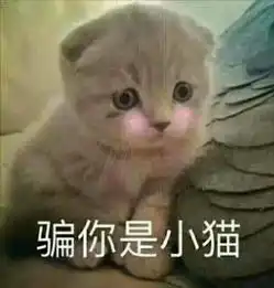 8229,缘分视频直播全集8229,缘分资料大全yy官方