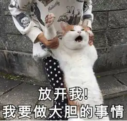 师从名师去巡演,还能上春晚芒果剧星少年确定不pick一下吗