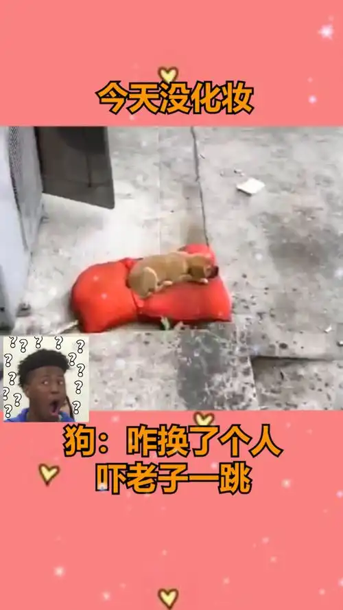 狗你今天怎么不化妆,吓老子一跳
