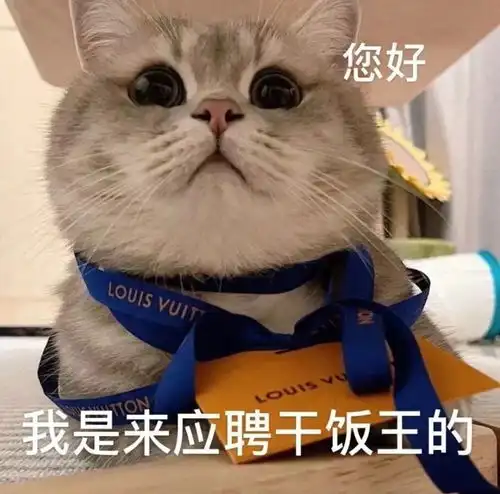 可爱猫猫表情包一我好想你鸭