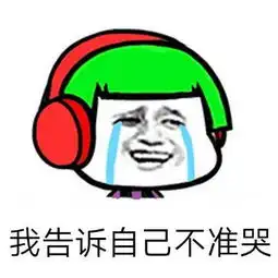 当杀马特与表情包完美相遇后